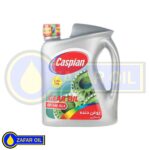 روغن گیربکس دستی 140 ( 4 لیتری ) کاسپین